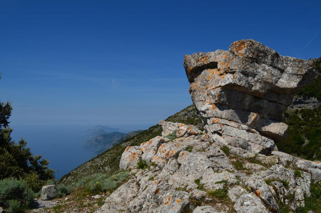 New Royal Bed & Breakfast Agerola Rom bilde